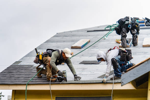 Professional Roofing technician working in Augusta, IL